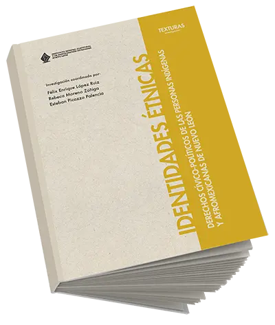 Identidades étnicas. Derechos cívico-políticos de las personas indígenas y afromexicanas de Nuevo León